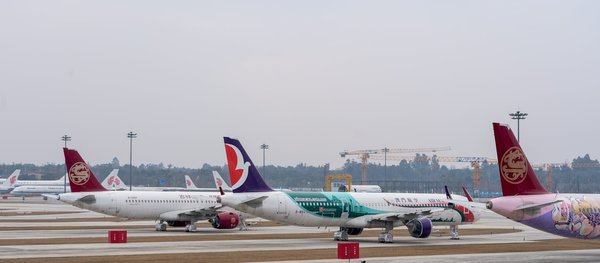 Guide du vin de Carcassonne : les meilleurs vignobles à visiter